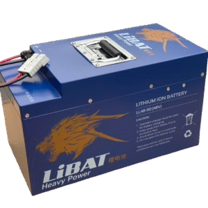 EV2460 IPS & Solar Battery