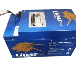 IPS Battery12100