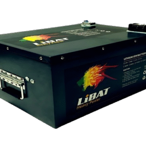 EV 60V 110A With Charger